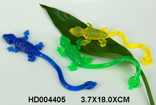 <img src='photo/2013/HD004405.jpg'width='400' height='300'>