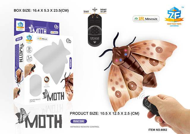 <img src='photo/2019/HD062785.jpg'width='400' height='300'>