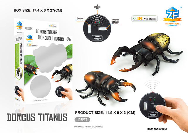 <img src='photo/2019/HD062788.jpg'width='400' height='300'>