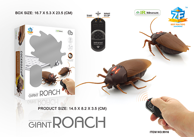 <img src='photo/2019/HD062793.jpg'width='400' height='300'>