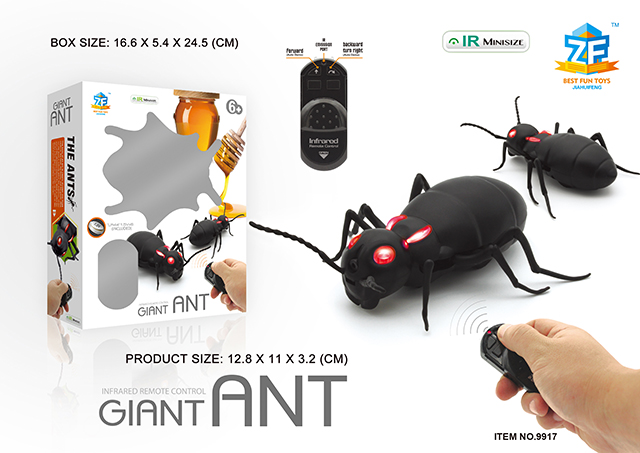 <img src='photo/2019/HD062794.jpg'width='400' height='300'>